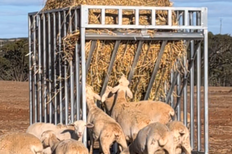 Hay Feeder